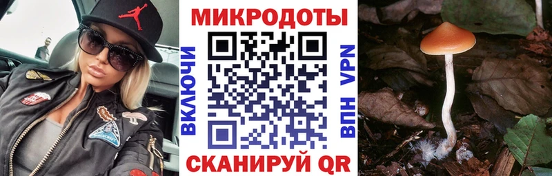 Галлюциногенные грибы MAGIC MUSHROOMS Холм